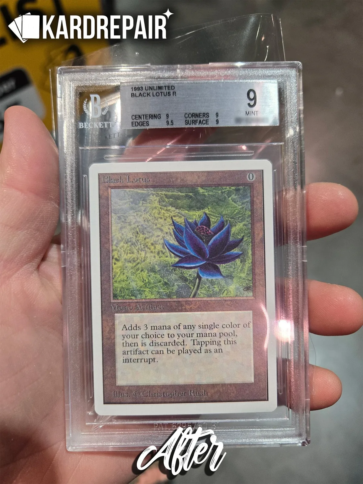 Black Lotus after restoration