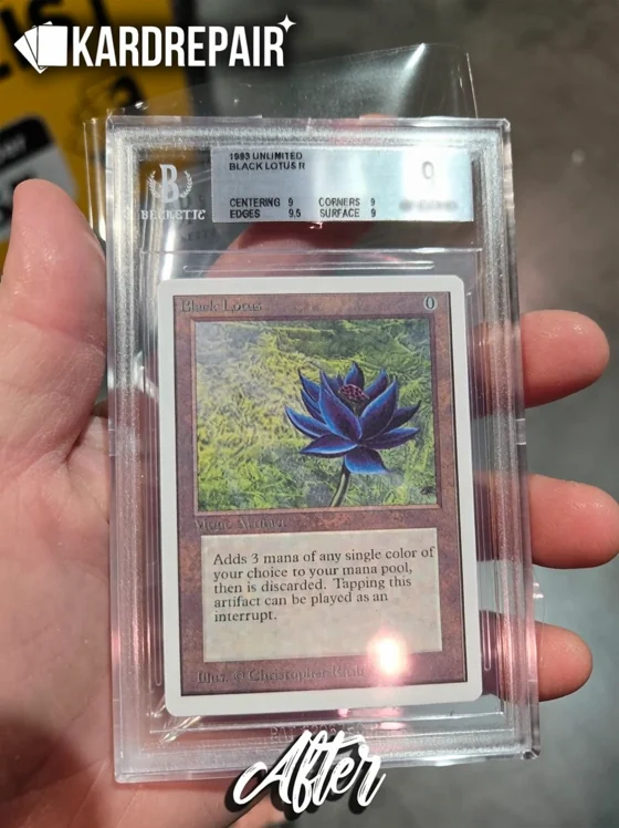 A real Alpha Black Lotus, restored and graded 9